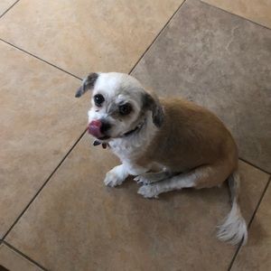 Meet your Posher, Ingrid